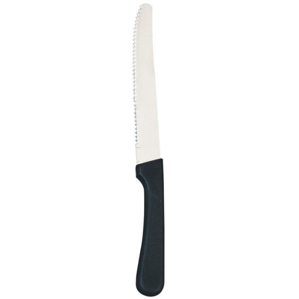 CUCHILLO MANGO PLASTICO PUNTA REDONDA NAC PAQ/12 PZAS